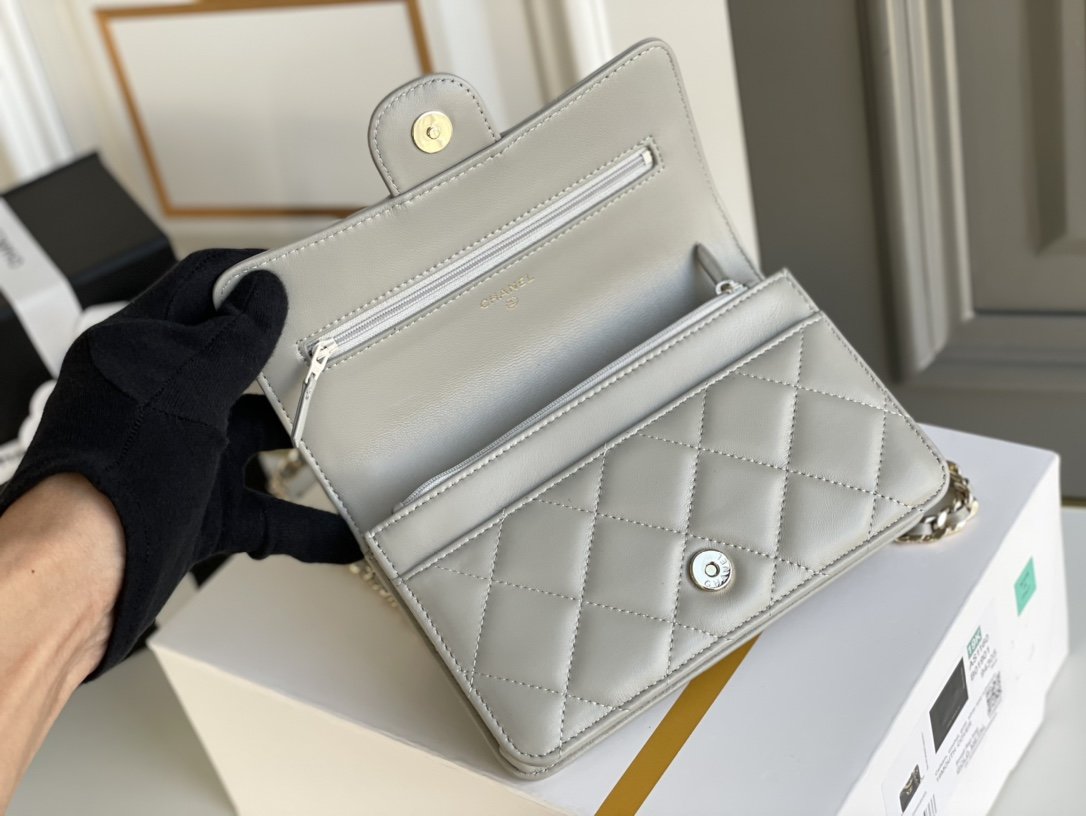 Chanel WOC Bags